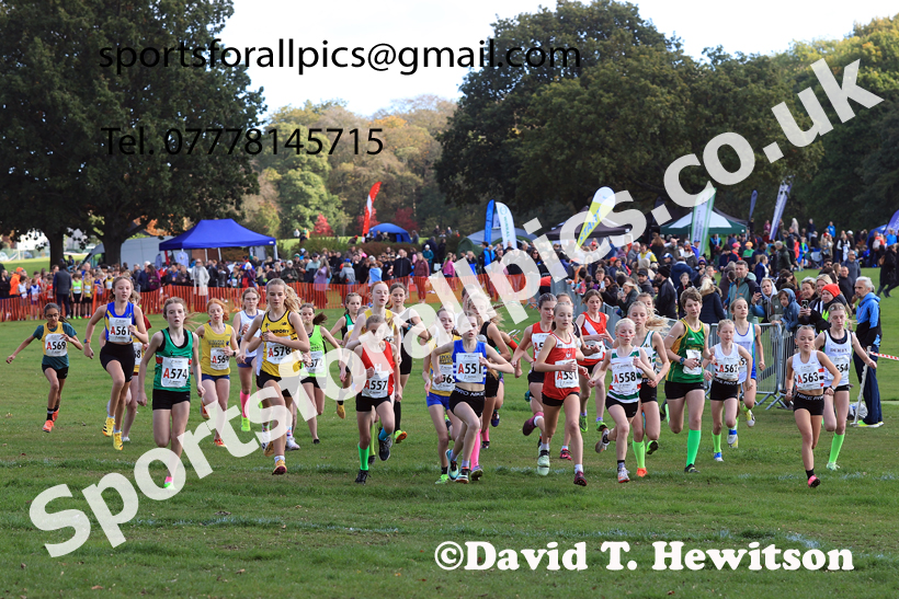Girls Under-14s 2026 Northern Cross Country Relays, Graves Park, Sheffield. Photo: David T. Hewitson/Sports for All Pics